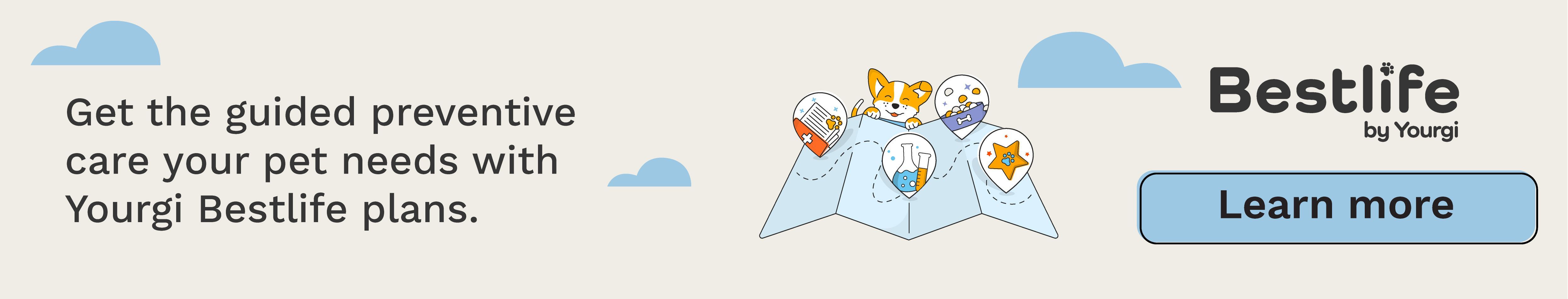 Introducing Bestlife Plans by Yourgi