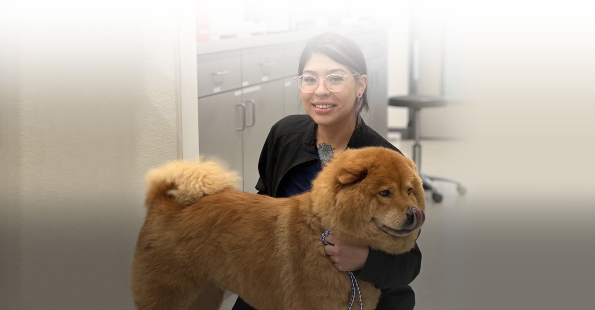 Culebra Creek Veterinary Hospital & Resort veterinarian with a dog